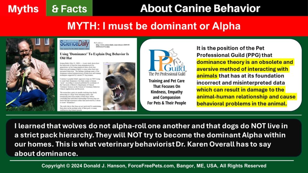 How What I’ve Learned in 33 Years Has Changed My Approach to Canine ...